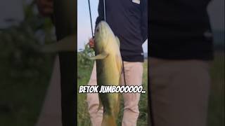 Full senyum joget bahagia  setelah dapat ikan betok jumbo [upl. by Scutt228]