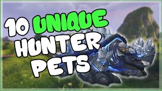 10 Unique and Cool Hunter Pets That ARENT Spirit Beasts for World of Warcraft [upl. by Yate]