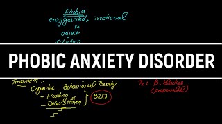 Phobic Anxiety Disorder in HindiUrdu TreatmentPsychiatry Lectures [upl. by Ringo596]