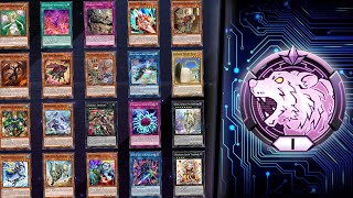 The 20 Deck Slots YuGiOh Challenge [upl. by Ahseyi]