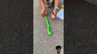 Nee Rc Remote control Snake 🐍 rc unboxing shorts snake [upl. by Nimajnab]