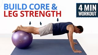 4 Minute Core amp Leg Stability Ball Workout [upl. by Negaet]