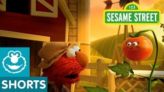 Sesame Street Tomato Musical Preview  Elmo the Musical [upl. by Odlabso]