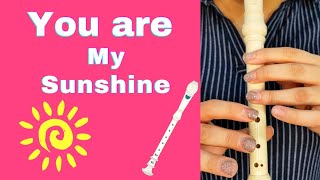 flute recorder tutorial  you are my sunshine [upl. by Ecnaled670]