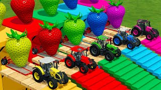 CLAAS vs STEYR vs DEUTZ vs FENDT TRACTORS BATTLE WITH STRAWBERRY  Farming Simulator 22 [upl. by Anelet293]