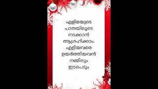 The Bread of Soul  Christmas Reflections  Day  07  Bro Alen Kanjiramattathil MST [upl. by Ailene]