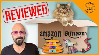 Cat Expert Reviews Bestselling Cat Toys on Amazon [upl. by Dyolf842]