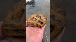 Dragon stone natural patterns 😱💎viralshort gemston gemstone viralvideo shorts [upl. by Jenna963]