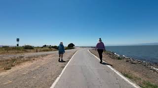 Bike San Leandro to Milpitas along the San Francisco Bay Trail [upl. by Pisano]