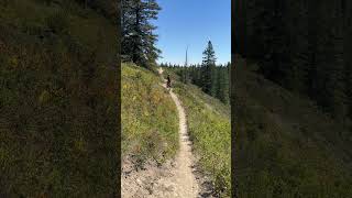 Uphill bike single track biking downhillbiking mtb yyc mountains [upl. by Farrah]