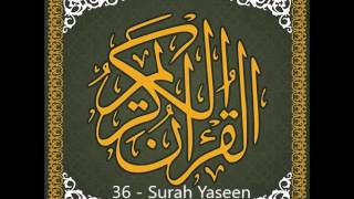 36  Surah Yaseen  Qari Asad Attari AlMadani [upl. by Htedirem141]