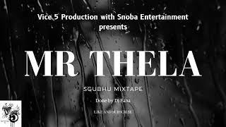 Dj Fana  Mr Thela sgubhugqom mixtape [upl. by Annaillil]