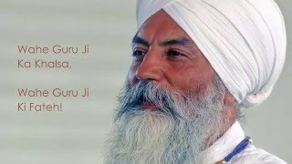 The Neuroendocrinology and Electromagnetic Infinity of Siri Guru Granth Sahib Ji 150828 [upl. by Ennovehc]