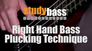 Plucking Right Hand Bass Technique  StudyBass [upl. by Hoppe]