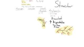 glycosidic bonds [upl. by Stephania]