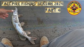 FALL PIKE FISHING SEASON 2024 PART 4 [upl. by Irfan]