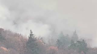 Lehighton Pa Mountain Fire wildfire fire lehighton videos video pleasesubscribe pleaseshare [upl. by Laenej639]