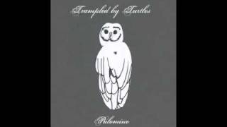 ♪♪ Trampled By Turtles  Wait So Long ♪♪ [upl. by Salamanca]