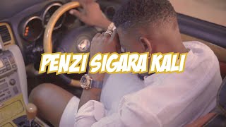 Twanga Pepeta  Penzi Sigara Kali Official Video [upl. by Nealah]