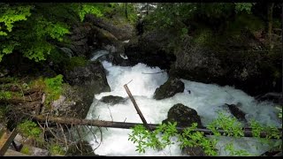 Nationalpark Gesäuse  Steiermark [upl. by Nellek]