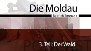 Die Moldau  Podcast amp Unterrichtsidee  Der Wald [upl. by Shetrit]