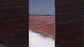 Lac Rose Cap Vert Senegal [upl. by Putscher]