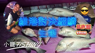 小龍fishing213維港5斤級鱗生蝦仔做餌愈夜愈有機fishing0118 [upl. by Kienan]