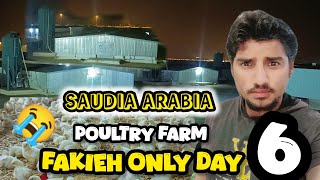 Fakieh poultry farma [upl. by Koorb6]