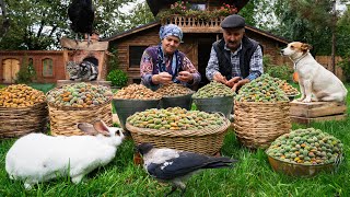 Harvesting and Baking with Fresh Almonds A Village Tradition [upl. by Emiolhs]