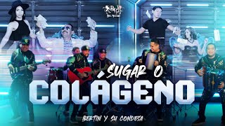 Sugar o Colágeno · Bertín y Su Condesa [upl. by Harden]