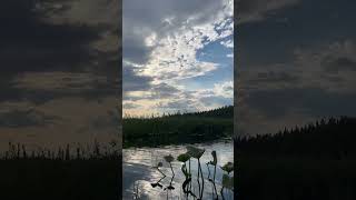 Kayak fishing in Alaska alaska fishing alaskamoose fish kayakfishing [upl. by Careaga]