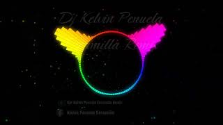 COOL DOWN REMIX BY DJ KELVIN PINUELA ESCAMILLA FT VHON RYAN DELOTINASTROKER × TITAN [upl. by Tirrej38]