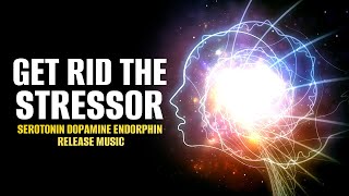 Serotonin Dopamine Endorphin Release Music  Get Rid The Stressor  Delta Waves For Deep Healing [upl. by Ettelracs]