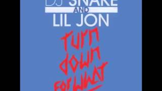 Turn Down For What Lil Jon Ft Juicy J 2 Chainz French Montana Pitbull amp Ludacris MegaMix [upl. by Child]