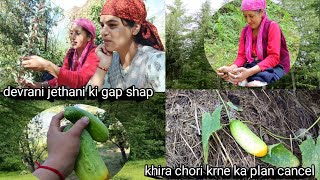 devrani jethani ki gapye🤣😂khira chori krne ka plan cancel 🌲vlog phadivlog villagelifestyle [upl. by Philoo]