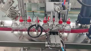 Automatic salad dressing filling machine [upl. by Niraj]