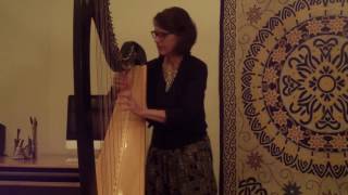 Tiny Desk 2017 The Crane Returns solo harp [upl. by Neb488]