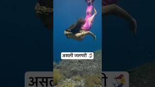 Real Jalpari  असली जलपरी🧜‍♀️  Jalpari video raigarh [upl. by Arretnahs101]