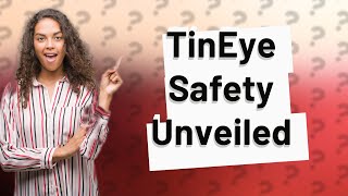 Is TinEye reverse image search safe [upl. by Eenel977]