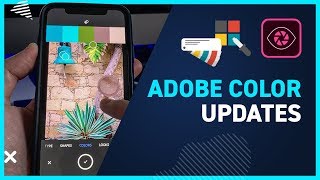 ADOBE COLOR  All the new features [upl. by Bolger]