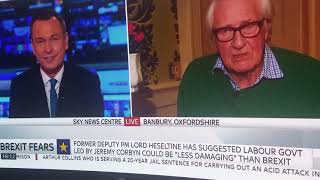 Heseltine finally completely loses it on Sky News [upl. by Hnahym]