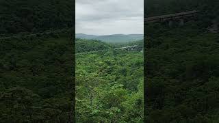 Nandyala to giddalur forest [upl. by Tripp]