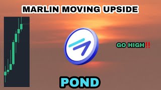 MARLIN POND MOVING UPSIDE IN FEBRUARY 2024‼️ POND GO HIGH‼️ MARLIN CRYPTO HOLDING WELL ACCORDINGLY [upl. by Delia]