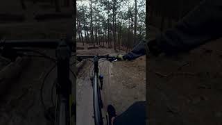 Full send Schoorl mtb mountainbike mtblife [upl. by Danice848]