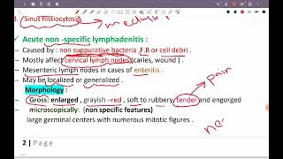 L1 patho Nonneoplastic LN enlargement HPS 43 [upl. by Keverne268]