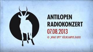 Antilopen Gang  quotWhat UpquotRadioshow Part 2  Konzert [upl. by Ianteen]