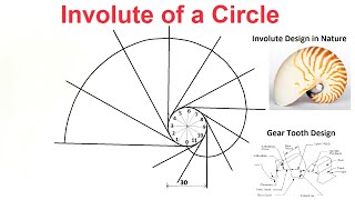 Involute of a Circle [upl. by Llehcsreh115]