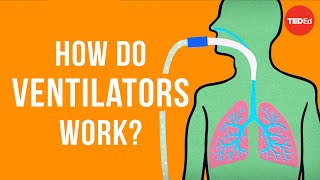 How do ventilators work  Alex Gendler [upl. by Ahsienom]