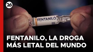 EEUU  Fentanilo la droga más letal del mundo [upl. by Lancey611]