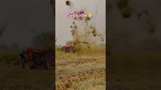 Agreecalture works 👌shorts viralvideo trending agriculture farming work tractor beautiful 👌👌 [upl. by Anaugal]